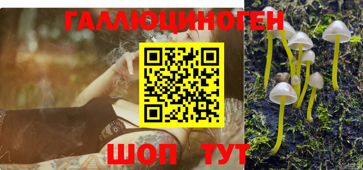 Улан-Удэ  Псилоцибиновые грибы Cubensis  Вход с VPN 