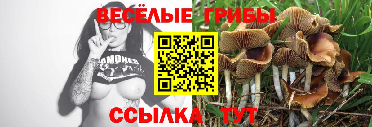 Галлюциногенные грибы Cubensis Улан-Удэ